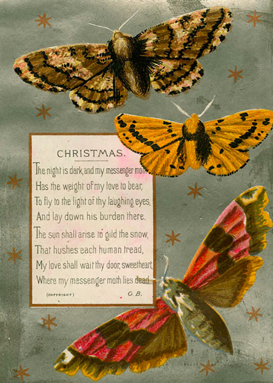 Dead Moth, The Creepy Victorian Christmas Card Series